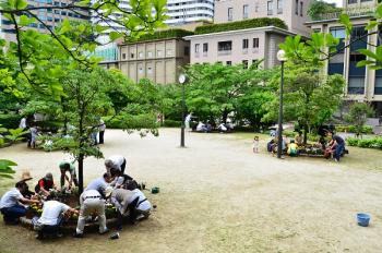 公園でのアダプトの様子