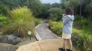 写真：6日目 植物園の様子