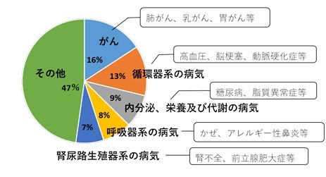 画像：千代田区国民健康保険の医療費の病気別構成比（30年度実績）