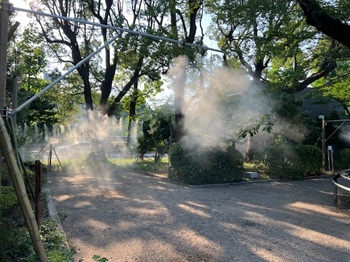 写真：千鳥ヶ淵公園のドライ型ミストの様子