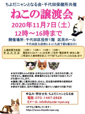 画像：猫譲渡会ちらし