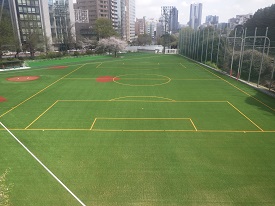 写真：外濠公園総合グラウンド 遠景