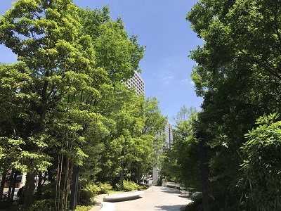 写真：飯野ビルディングの風景