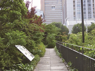 写真：三井住友海上駿河台ビルの屋上庭園の風景