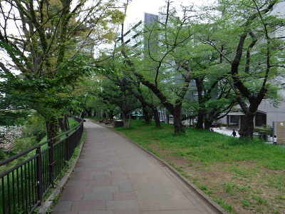 写真：外濠公園遊歩道2キロのウォーキング道