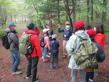 写真：森林の中で自然観察する参加者たち