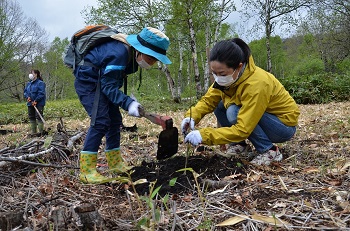 写真：参加者たちが植樹をする様子