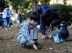 写真：どんぐり観察の様子