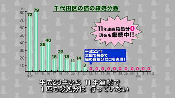 画像：千代田区の猫の殺処分数のグラフ「平成23年に全国で初めて猫の殺処分ゼロを実現。11年連続殺処分ゼロ、現在も継続中」