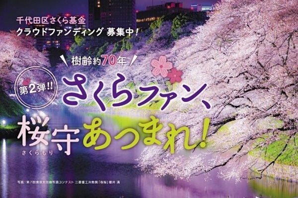 画像：千代田区さくら基金 クラウドファンディング募集中。第2弾、樹齢約70年さくらファン、桜守あつまれ