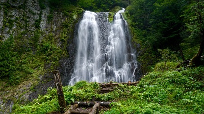 画像：五色ヶ原の森の風景（久手御越滝）