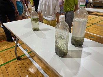 写真：水質実験の様子1