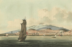 画像：カナリア諸島・テネリフェ島（スペイン）『Voyage to Cochinchina 1』（1806年）