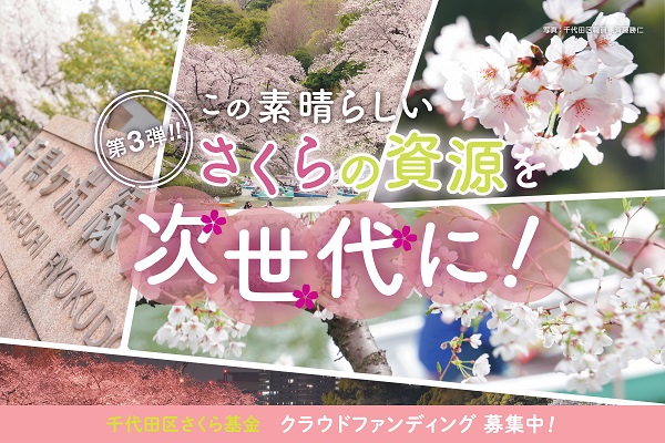 画像：第3弾このすばらしいさくらの資源を次世代に 千代田区さくら基金クラウドファンディング募集中