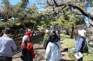 写真：さくらに関する講習会の様子