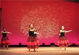 写真：以前開催した「芸能の集い」の様子