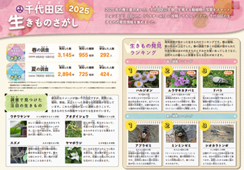 画像：千代田区生きものさがし2025結果報告おもて
