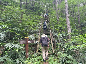 写真:自然散策の様子