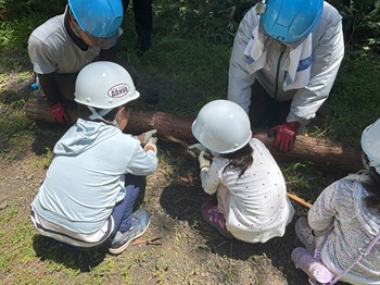 写真:林業体験の様子