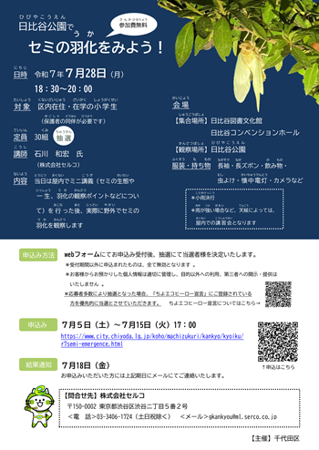 画像：セミ羽化観察会チラシ