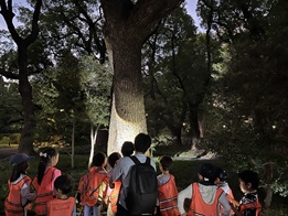 写真:セミ羽化観察の様子