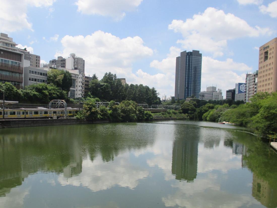 画像：水質改善処理剤の散布後の外濠
