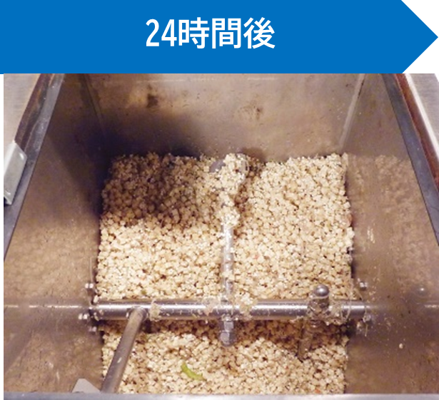 写真：生ごみ投入から24時間後
