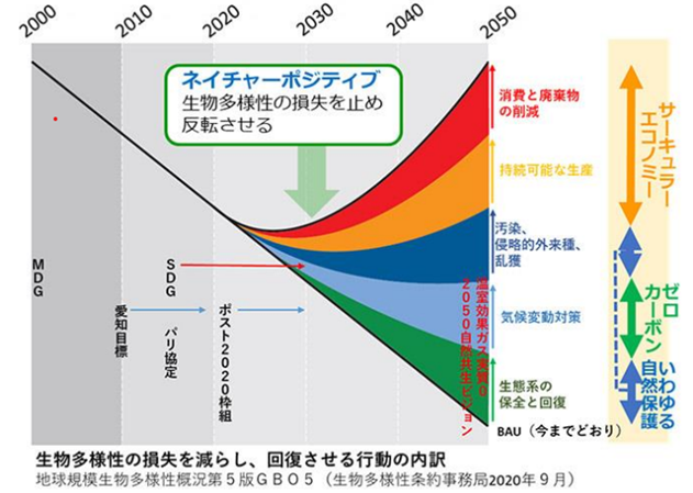 画像：生物多様性の損失を減らし、回復させる行動の内訳