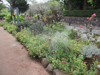 写真:色とりどりの花が咲いている様子