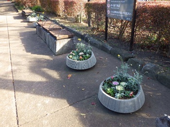 写真:花の寄せ植え