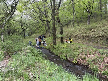 写真:1日目の様子