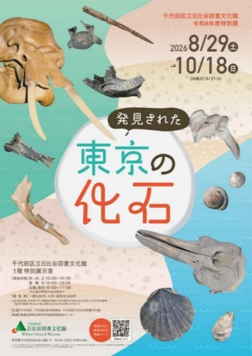 画像：発見された東京の化石 チラシ表