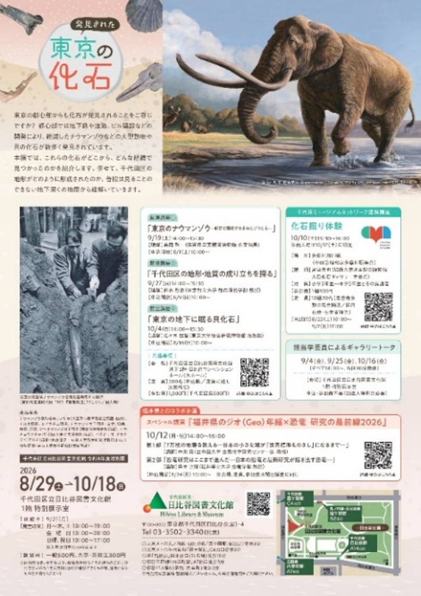 画像：発見された東京の化石 チラシ裏