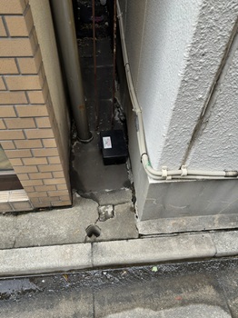 写真：ベイトボックス2