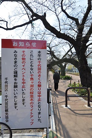 「千代田のさくら祭り」中止のお知らせ