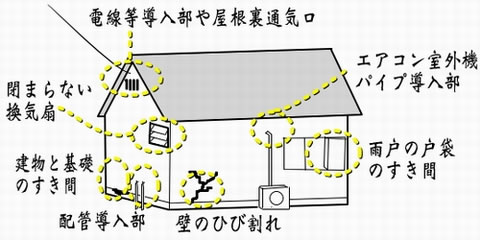 イラスト：住まいへの侵入口