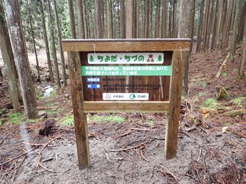 画像：ちよだ・ちづの森活性化プロジェクト案内板
