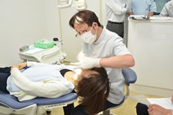 写真：歯科健診の様子